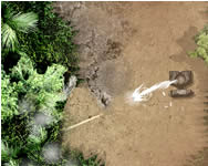 Jungle defense online játék